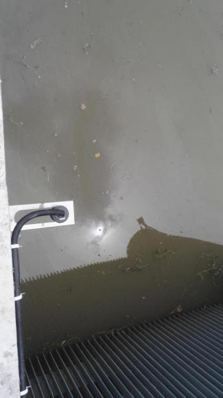 應(yīng)用現(xiàn)場