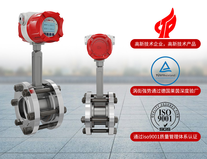 渦街流量計(jì)