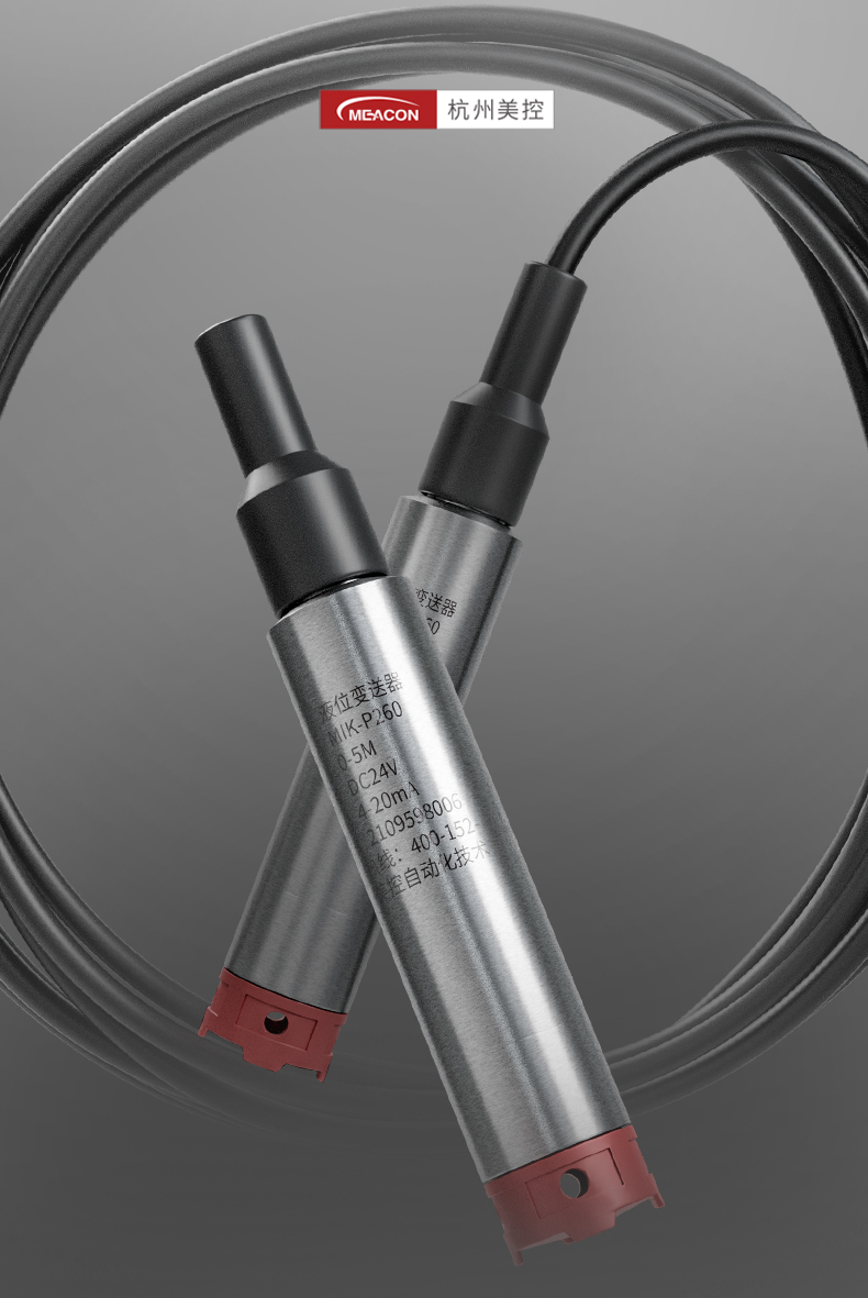 投入式液位計(jì)